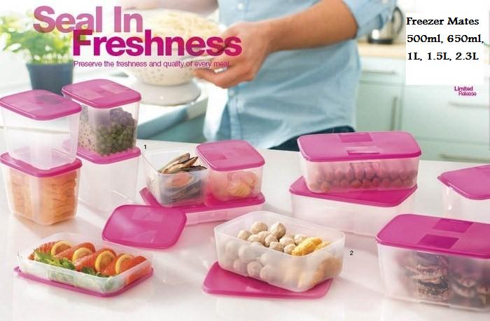 Tupperware Freezer Mates