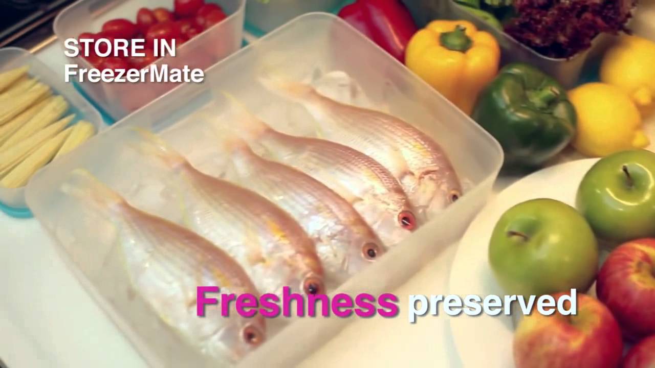 Tupperware Storage Freezer Mates