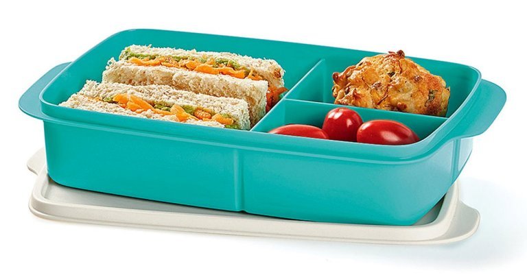 Tupperware lunch box sandwich keeper