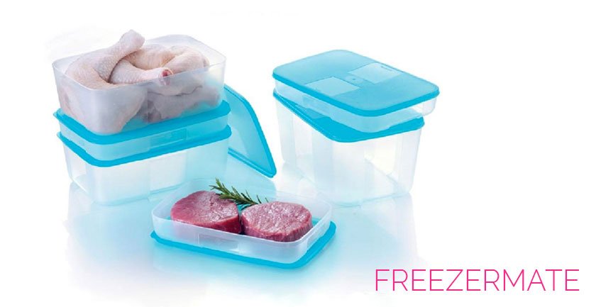 Thawing & refreezing meat in Tupperware Freezer Mates