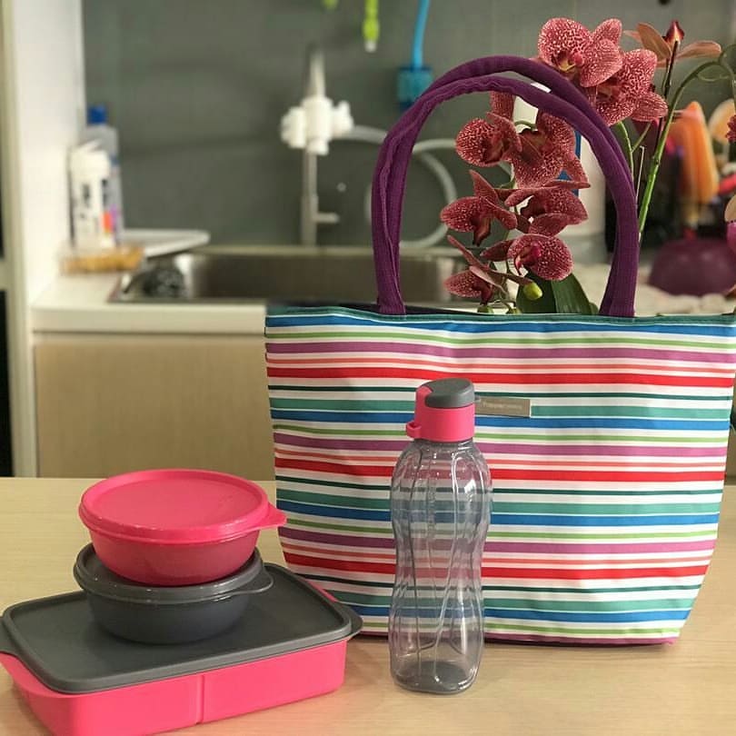 Tupperware Lunch & Munch Set