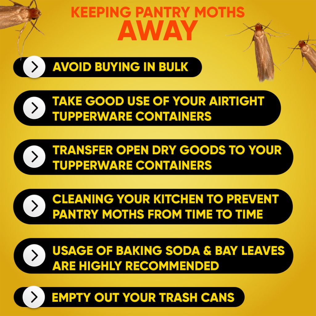 how to keep pantry moths away